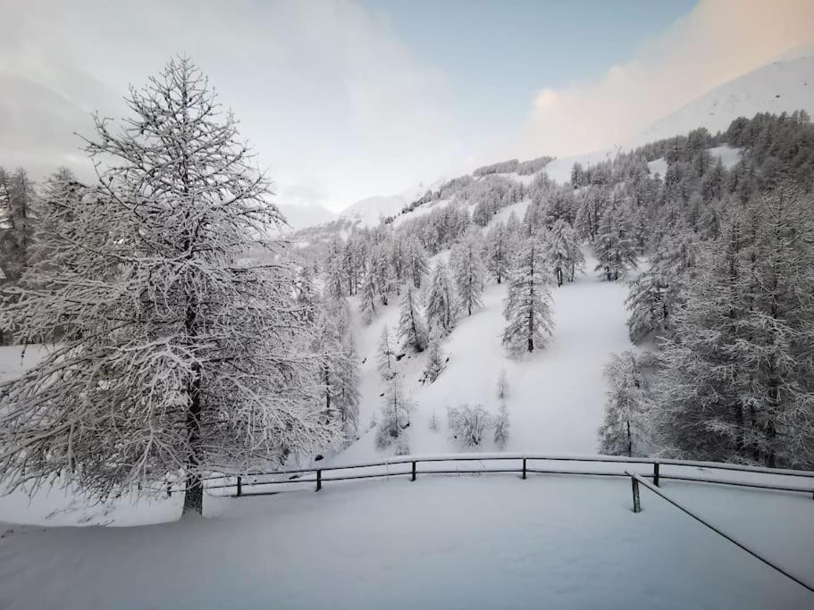 Cosy Apart, Ski Snow Surf, Foux D'Allos Avec Vue Buitenkant foto
